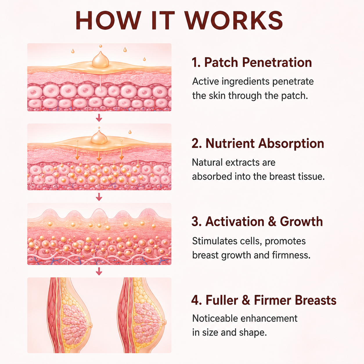 Breast Enhance Mentmicroneedle Patch